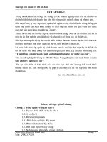 du an dau tu xay dung day chuyen san xuat do go pps