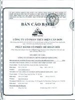 bản cáo bạch công ty cổ phần thủy điện cần đơn phát hành cổ phiếu để hoán đổi năm 2013