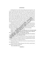 Hoàn thiện hoạt động phân tích tài chính tại công ty TNHH Nhà nước một thành viên thương mại và xuất nhập khẩu Viettel