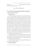 Giáo trình tổng hợp các hệ thống thông tin giúp tránh tình trạng nghẽn mạng trong thông tin di động số phần 2 pot