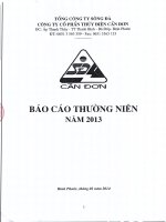 tổng công ty sông đà công ty cổ phần thủy điện cần đơn báo cáo thường niên 2013