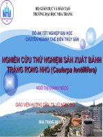 đồ án nghiên cứu thử nghiệm sản xuất bánh tráng rong kho