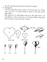 Nghệ thuật làm hoa giấy part 6 ppt