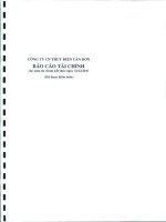 công ty cổ phần thủy điện cần đơn báo cáo tài chính cho năm tài chính kết thúc 31 tháng 12 năm 2011 đã được kiểm toán