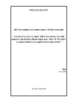 Cơ sở lý luận và thực tiễn xây dựng cơ chế khoán chi hành chính theo đặc thù về tổ chức và hoạt dộng của Kiểm toán Nhà nước