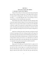 Điều khiển luồng trong mạng truyền số liệu