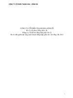công ty cổ phần thanh hoa sông đà báo cáo của ban tổng giám đốc bảng cân đối kế toán tổng hợp giữa niên độ báo cáo kết quả hoạt động kinh doanh tổng hợp giữa niên độ 6 tháng đầu 2013