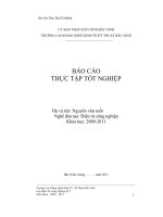 Báo cáo Thực tập tại công ty Công Ty cổ phần điện tử Thành Long