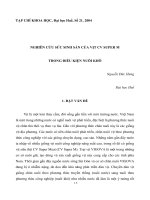 Báo cáo nghiên cứu khoa học đề tài 