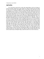 bắt người trong trường hợp khẩn cấp và thực tiễn áp dụng