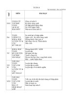 giáo án tuần 8 lớp 5