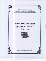 tổng công ty sông đà công ty cổ phần thủy điện cần đơn báo cáo tài chính công ty mẹ quý 4 năm 2013