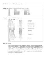 cisco press router security strategies phần 2 potx