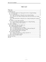 Khảo sát ảnh hưởng của đá vôi đến tính chất xi măng và vữa