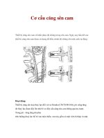 Cơ cấu căng sên cam potx