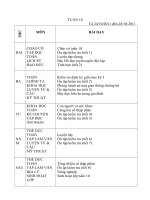 giáo án tuần 10 lớp 5