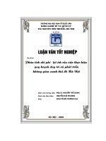 Phân tích chi phí lợi ích của việc thực hiện quy hoạch duy trì và phát triển không gian xanh thủ đô hà nội