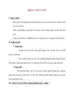 Vật lý 12 Phân ban: BÀI 13 : CON LẮC ĐƠN pps