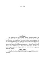 Bài tập lớn học kỳ hành chính - T2M pdf