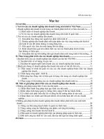 Thực trạng và giải pháp phát triển các doanh nghiệp dân doanh ở Việt Nam hiện nay