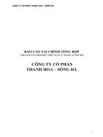 báo cáo tài chính tổng hợp cho năm tài chính kết thúc 31 tháng 12 năm 2012 công ty cổ phần thanh hoa sông đà