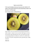 Tập cho con ăn trái Kiwi ppt