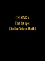 chương v chết đột tử
