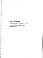 công ty cổ phần thủy điện cần đơn báo cáo tài chính cho năm tài chính kết thúc 31 tháng 12 năm 2013 đã được kiểm toán