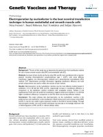 Báo cáo sinh học: 