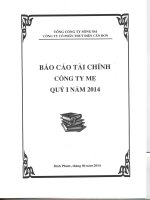 tổng công ty sông đà công ty cổ phần thủy điện cần đơn báo cáo tài chính công ty mẹ quý 1 năm 2014
