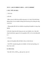 Bài 23: HIĐRO CLORUA – AXIT CLOHIDRIC doc