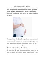 Sảy thai vì ngại khám phụ khoa docx