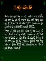 Bệnh cúm gia cầm pps