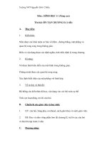 HÌNH HỌC 11 (Nâng cao) Tên bài :ÔN TẬP CHƯƠNGII ppsx