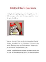 Đôi điều về thay bố thắng cho xe potx