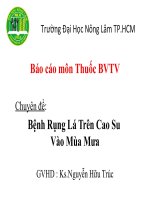 chuyên đề bệnh rụng lá trên cao su vào mùa mưa