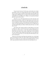 Tình hình hoạt động của doanh nghiệp và mục tiêu kinh doanh khách sạn dân chủ