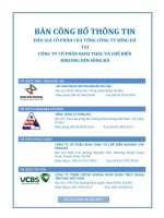 bản công bố thông tin đấu giá cổ phần tổng công ty sông đà tại công ty cổ phần khai thác chế biến  khoáng sản sông đà 2013