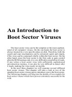 the giant black book of computer viruses phần 3 potx