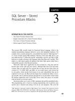 Seven Deadliest Microsoft Attacks phần 5 pot