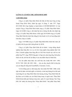 Phân tích tài chính tại công ty hợp doanh nhựa Bình Minh