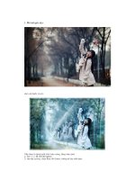 Giáo trình photoshop: Hướng dẫn thực hiện kĩ thuật tạo ảnh nền màu phần 5 ppsx