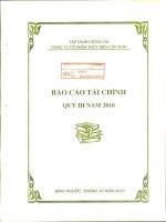 tập đoàn sông đà công ty cổ phần thủy điện cần đơn báo cáo tài chính quý 3 năm 2010