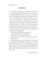 Hoàn thiện hạch toán nguyên vật liệu tại công ty cổ phần traphaco