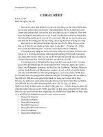 Rạn san hô ppt