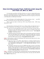 Giáo trình Macromedia Flash: Thiết kế và định dạng file ảnh Flash với .MP3 và .WAV phần 1 ppsx