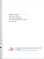 công ty cổ phần thủy điện cần đơn báo cáo tài chính cho năm tài chính kết thúc 31 tháng 12 năm 2012 đã được kiểm toán