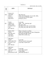 giáo án tuần 12 lớp 5