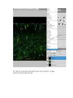 Giáo trình photoshop: Hướng dẫn cách chèn ảnh và tạo một khung hình phần 7 docx