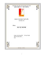 Báo cáo bài tập lớn xe từ hành pps